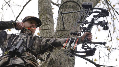 Crossbow vs. Vertical Bow | Bowhunting.com