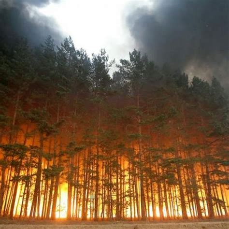 Forest Fire in Russia | Amusing Planet