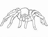Cute Spider Coloring Pages sketch template