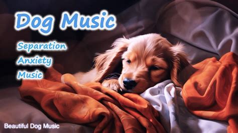 Deep Sleep Relaxing Dog Music! NEW Helped 10 Million Dogs! - YouTube