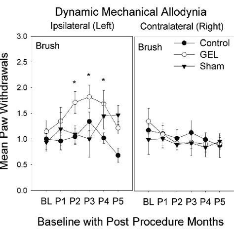 Dynamic mechanical allodynia to brush over 5 months. Dynamic allodynia... | Download Scientific ...