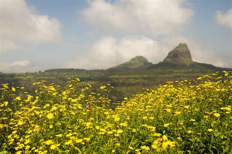 Camping near Lonavala