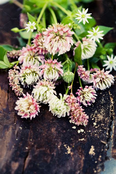 Clover flowers featuring anniversary, arrangement, and attractive ...