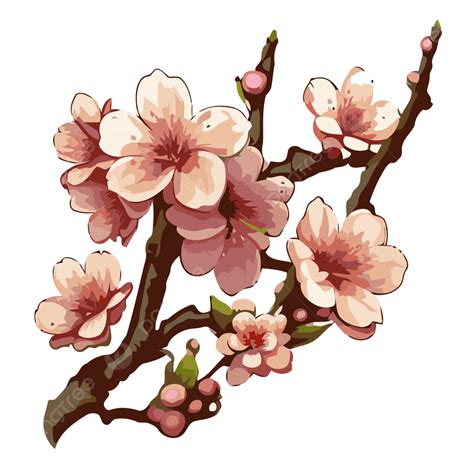 Bunga Sakura Jepang Vektor, Gambar Clipart Stiker Cabang Bunga Sakura Dengan Kartun Kuncup ...