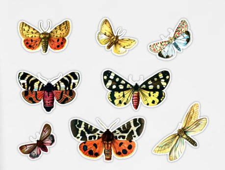 Colourful Vintage Butterfly Stickers | Colorful butterflies, Vintage butterfly, Vintage colors