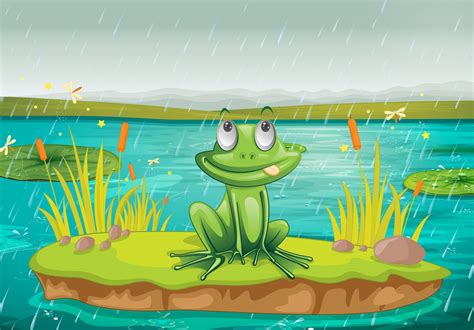 Rain Frog Care: Is Caring for a Rain Frog Hard? | PetMarvelous