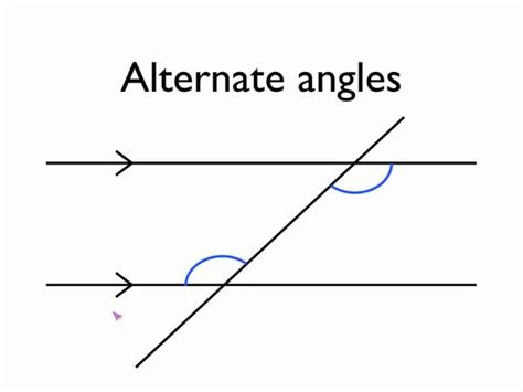 Alternate Interior Angles In Hindi | Awesome Home