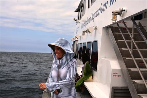 New England Aquarium Whale Watch | Outside the Cage