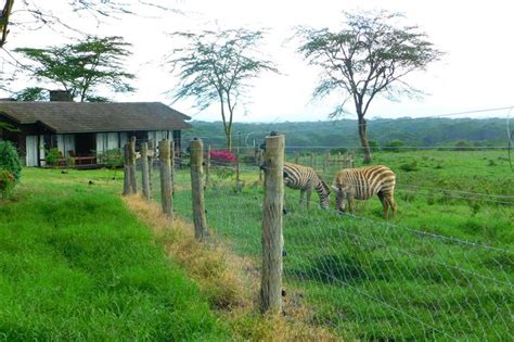 Lake Nakuru Lodge | Join Up Safaris