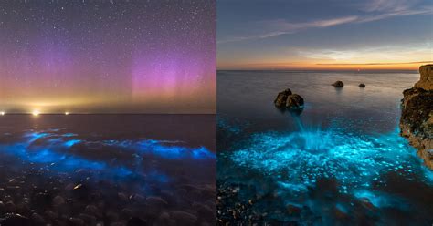 Photographer Captures the Beauty of Bioluminescent Plankton | PetaPixel