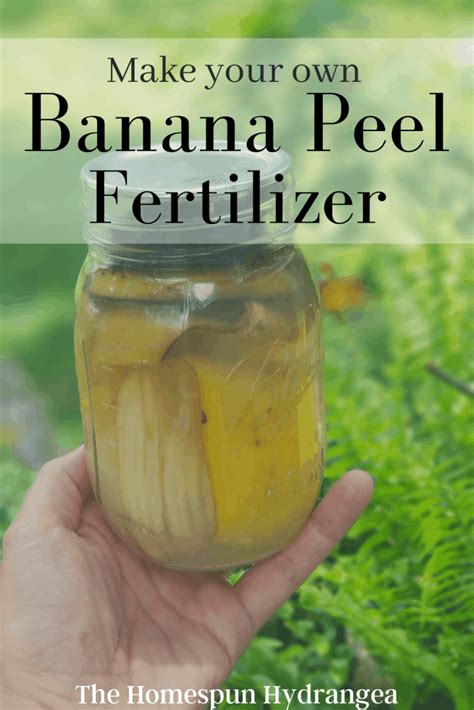 Homemade Banana Peel Water Fertilizer for Your Garden