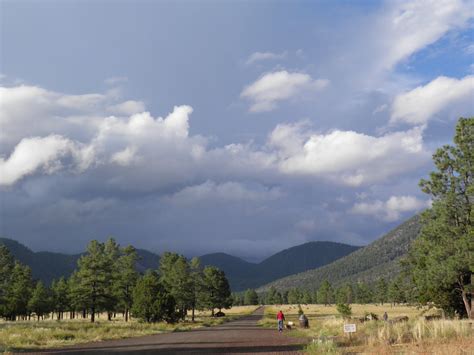 walking flagstaff: buffalo park