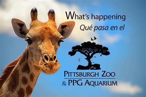 Upcoming Events at the Pittsburgh Zoo - Pittsburgh Latino Magazine