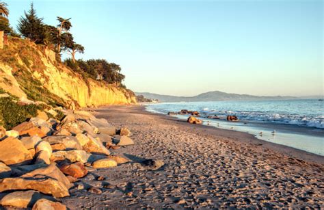 70+ Butterfly Beach Photos Stock Photos, Pictures & Royalty-Free Images - iStock