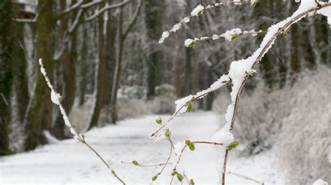 Status Yellow snow warnings extended to several counties