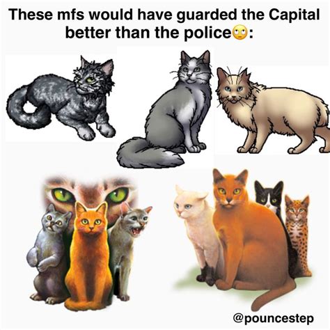 Meme was made by me #warriorcats #warriorcatsmeme | Warrior cats funny ...