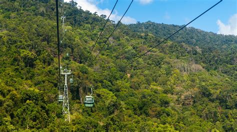 Skyrail Rainforest Cableway Tours - Book Now | Expedia