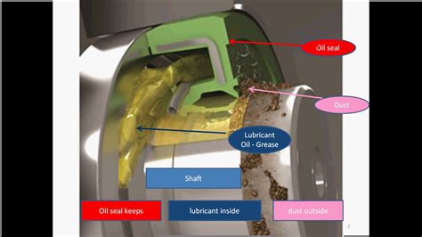 Rotary Lip Seal Diagram | Sitelip.org