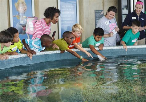 South Carolina Aquarium | Charleston Area CVB