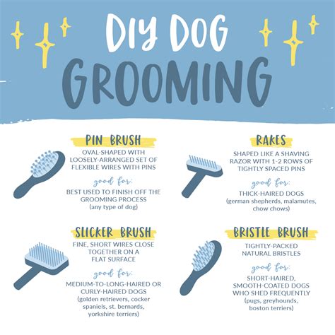 DIY Grooming: Dog Brush Basics | Dog grooming salons, Dog grooming tools, Dog grooming tips