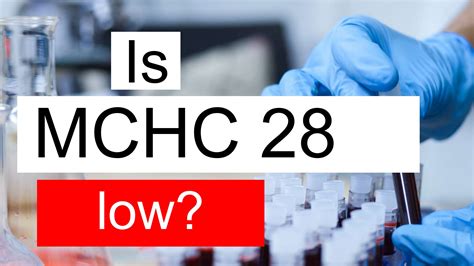 Is MCHC 28 low, normal or dangerous? What does Mean corpuscular hemoglobin concentration level ...