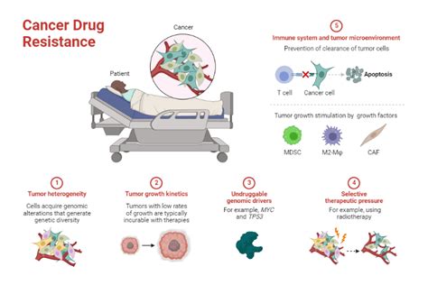 Cancer Drug Resistance | BioRender Science Templates