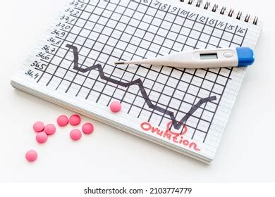 Thermometer Basal Ovulation Temperature Chart Predicting Stock Photo 2103774779 | Shutterstock