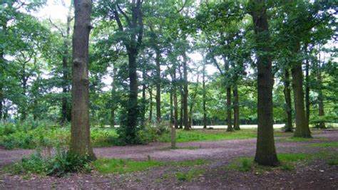 Belfairs Wood, Park and Nature Reserve (Leigh-on Sea, England): Updated 2017 - Top Tips Before ...