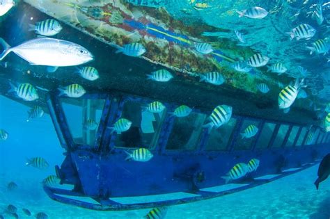 Cancun Glass-Bottom Boat—Underwater Museum and Punta Nizuc 2024