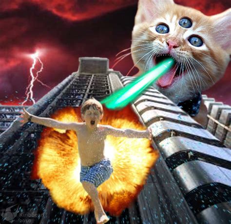 Laser Cat Attacks by Kiribbean on DeviantArt