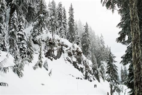 Grouse Mountain snowshoeing in the fog • Wedding photographers for ...