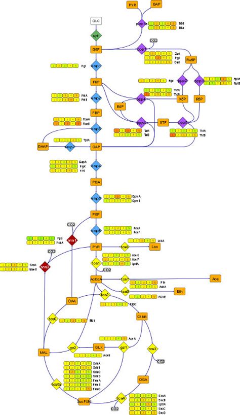 Omix Visualization | Visualization Examples