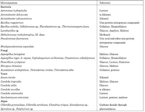 Single Cell Protein: Production of Single Cell Protein