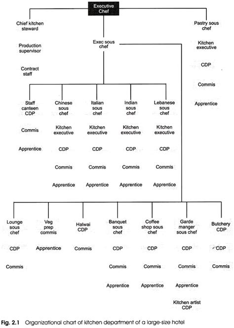 HIERARCHY OF KITCHEN AND STAFF DUTIES - IHMNOTESSITE