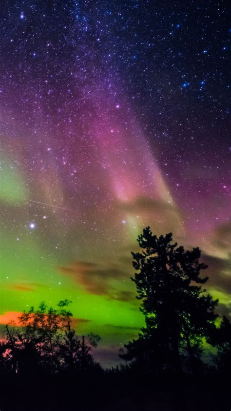 Aurora borealis, northern lights in Yellowknife, Canada | Windows Spotlight Images