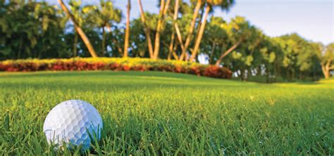 Golf Courses in Marco Island & Naples, FL | Must Do Visitor Guides