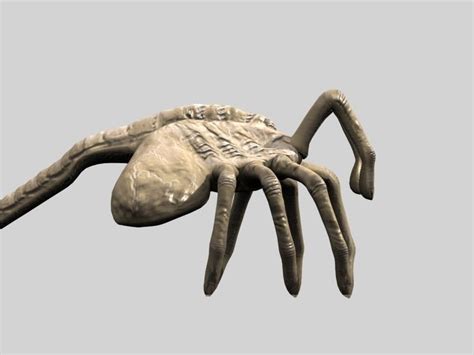 Rigged Alien Xenomorph Facehugger and Egg 3D model animated rigged ...