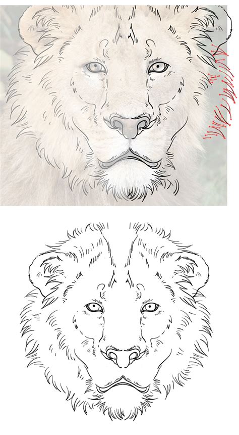 Draw the Cowardly Lion From the Wizard of Oz in Adobe Illustrator