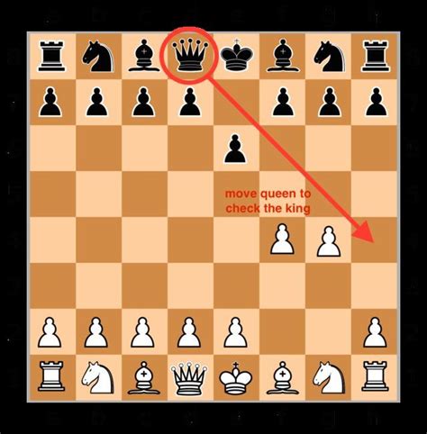 How To Win A Chess Match In Just 2 Moves | How to win chess, Chess ...