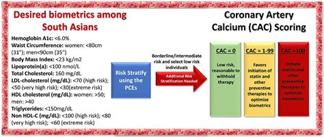 Leveling coronary artery disease playing field with CAC