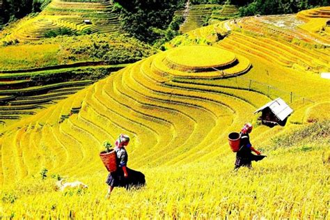 Mặc gì đi du lịch Sapa mùa hè là chuẩn nhất? - Maichautourist