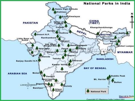 The Famous And Essential Names Of Forests In India | Forest map, National parks, National parks map