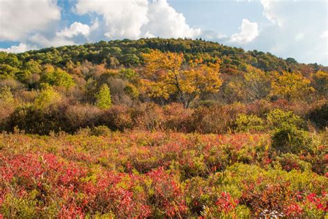 Fall Foliage in Asheville, North Carolina | TrailblazerGirl