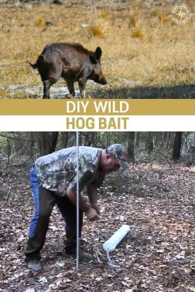 DIY Wild Hog Bait