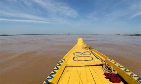 How to Get a Glimpse of the Rare Kratie Dolphins in Cambodia