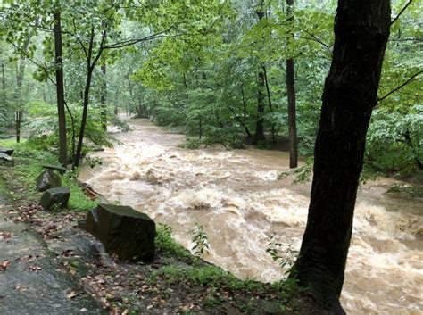 Arlington and D.C. Area Under Flood Watch Thursday | ARLnow.com