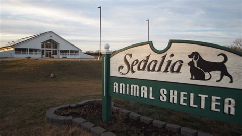 Sedalia Animal Shelter presents strategic plan to council | Sedalia ...