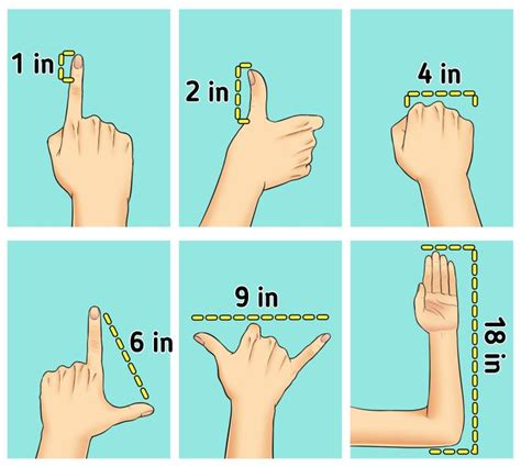 4 Ways to Measure Without a Ruler / 5-Minute Crafts