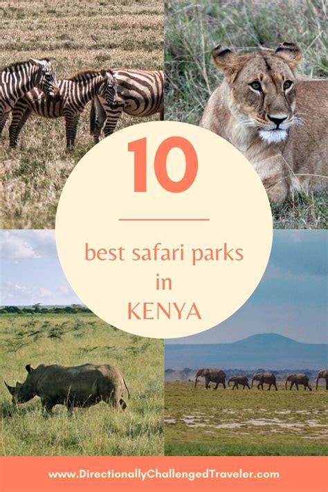 10+ Best Safari Parks in Kenya