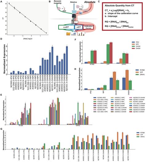 Auto-qPCR can process quantitative qPCR data using a standard curve to... | Download Scientific ...